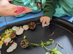 Mini-Museum Explorers